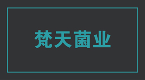 食品行业临夏冲锋衣设计款式